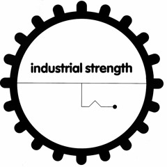 Colin H - The Industrial Strength Mix - 2010 (Industrial Strength Records)
