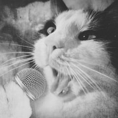 Body Rez On Everything!! (except drums) First without the body rez then with it