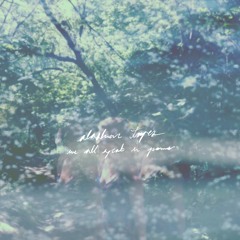 I Dreamt I Still Knew Myself