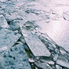 Blueberry - Train Set