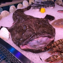 Shake It But I Dont Make It (lower Bit Rate For Myspace Version)