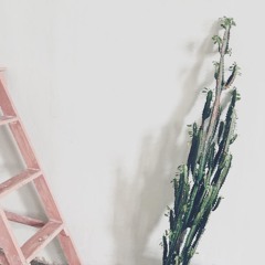 LIFE // IS PRETTY COOL