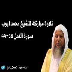 الشيخ محمد أيوب رحمه الله وتلاوة عذبة من سورة النمل