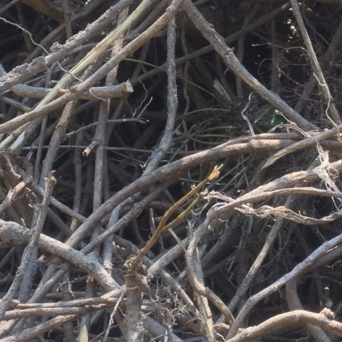 Don't Let Me Down (pop mix)