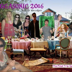 WaggaSonic 2016