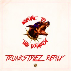 KAYZO - WELCOME TO THE DOGHOUSE (TRUNKSTYLEZ REMIX)