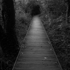 ✪ Neurofunk & Dark Drum and Bass ✪