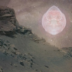 Röideriet Höst 2016 Mix