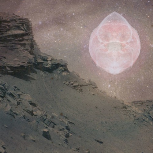 Röideriet Höst 2016 Mix