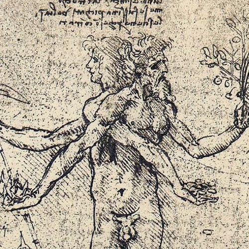 Androgyn