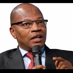 UN's Ibn Chambas says any efffort to derail Gambia's transition will be met with stiff resistance
