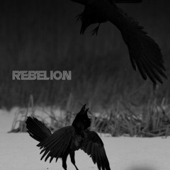 Black Bird (prod. by CMPLX & J Cash)