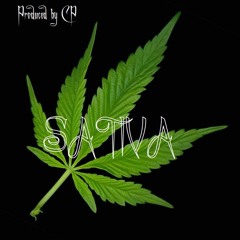 Sativa - Chilled dope hip hop/rap {instrumental} #FREE DOWNLOAD