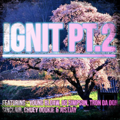 Ignit Pt.2 ft. Young Bloaw, OG Simpson, Gabe Sinclair, Chuey Dookie, Tron da Don & JustJay