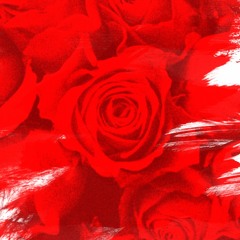 Red Kit Sampler