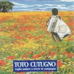 Toto Cutugno-Voglio andare a vivere in campagna- (DaniDan Rework)