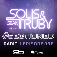 Solis & Sean Truby with Audrey Gallagher - What it Takes to Love You (ID Remix) #SR038 W Exclusive