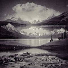 Stream P Y G M A L I O N music | Listen to songs, albums