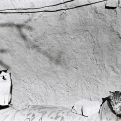 Supermoon (Theremin & Ukulele Duo)