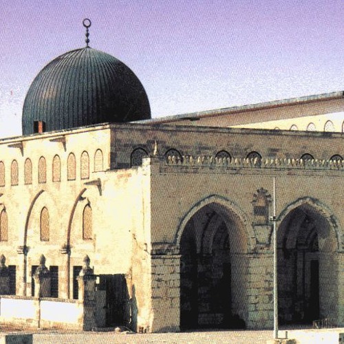 سأل الطفل الحائر شادي - أبو راتب