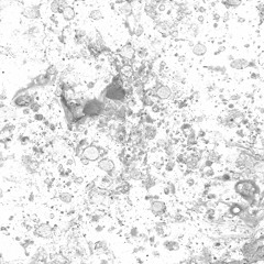 The Gentle Good - Dance for New Snow