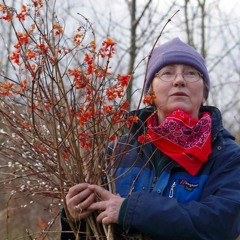 Anne Stobart - medicinal forest gardens - a new quality in permaculture