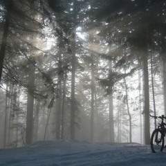 Spinning Im Wald