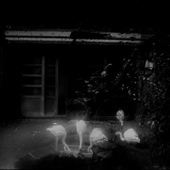 [EIDE02] Kovyazin D & Moralez - The Night Watch
