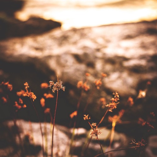 Olhado by Unit3