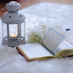 قراءة تختلف (حتى نقرأ القرآن بقلب) | محمد مصطفى عبد المجيد