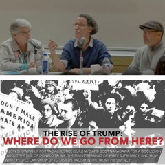 The Rise of Trump: Where do we go from here?