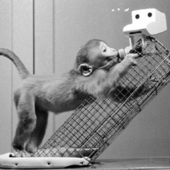 Wire Mother - Next To You