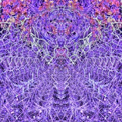 Hibernation Vol. 3: Bass