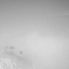 So Much Wine, Merry Christmas