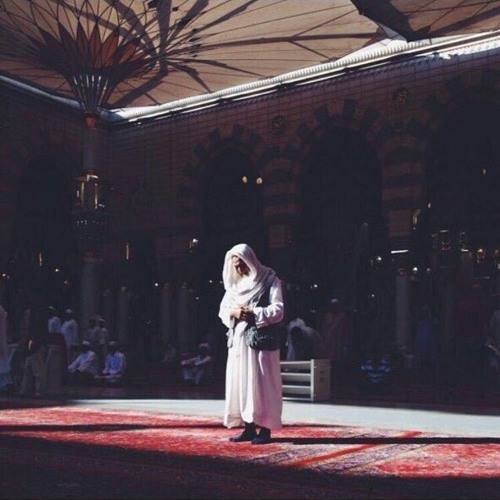 قرآن كريم - مقاطع