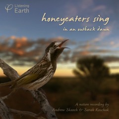 Honeyeaters Sing in an Outback Dawn: Album Sample