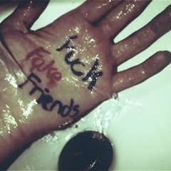 "FAKE FRIENDS" PRODUCED BY, T53 (MASTERED AND MIXED BY KING_ECH)