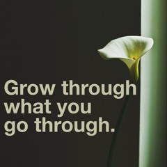 Grow Through What You Go Thru at Silver Spring, MD