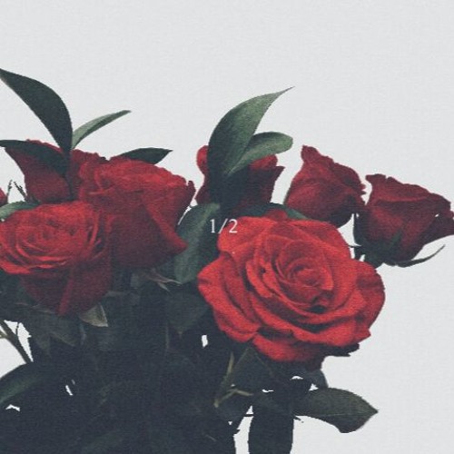 1/2 [Ballad] (Prod. by PJ Donald & Kay Austin)