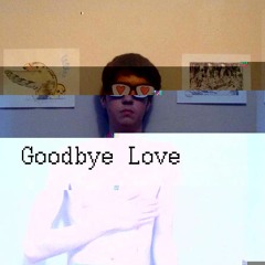 Goodbye Love (Car Seat Headrest Cover)