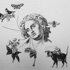 imgladnobodylikesme Prod. Fate & leonard