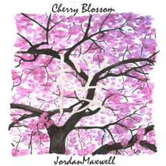 Cherry Blossom