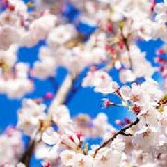 Maps And Payphone Mashup