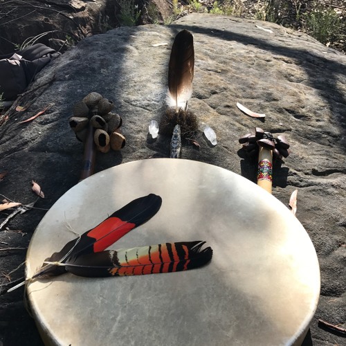 Bush Medicine with Light Language