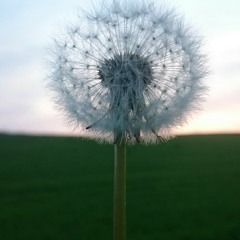 Ersten kommt es anders,zweitens als man denkt.