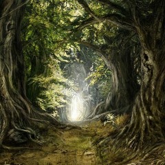 In Those Woods