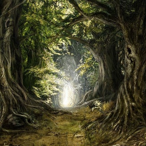 In Those Woods