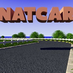 RocketPower [Natcar Level 2]