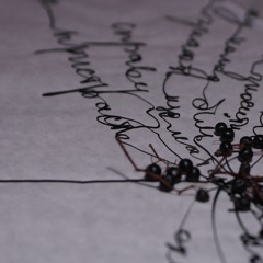 роздІловІ. Слова, якими можна все пояснити