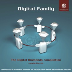 Simmetune - Der Flächenzauberer [DigitalDiamonds008L] | WAV download